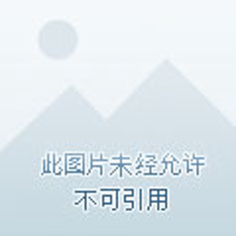 行业趋势与挑战:2013年的营销策略如何应对